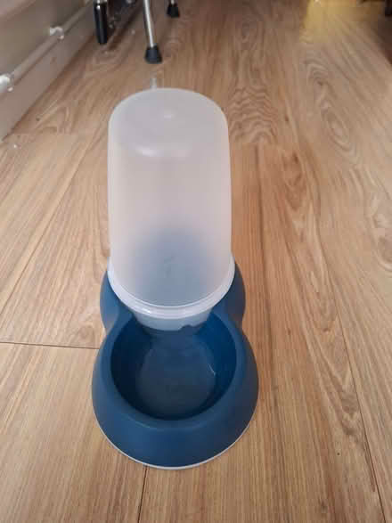 Photo of free Cat stuff (Cogges OX28) #3