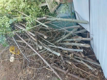 Photo of free Firewood (Guide Bridge OL7) #1