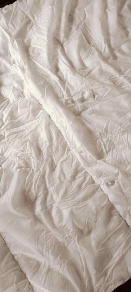 Photo of free Two single duvets + mattress topper (Sw48hd) #4