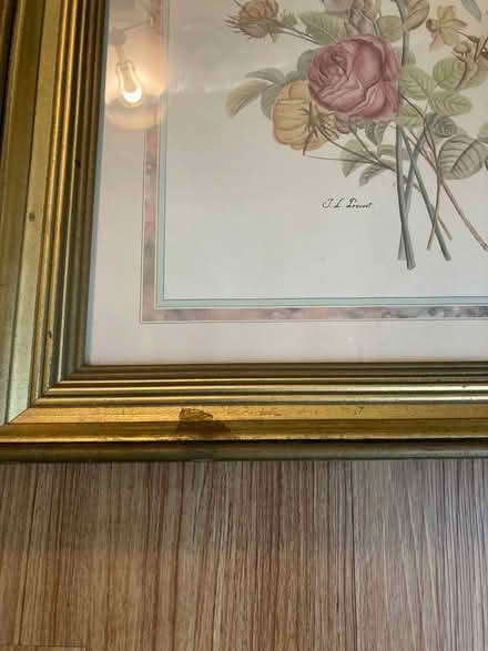 Photo of free Botanical print “20x24”inches (Scaggsville) #3