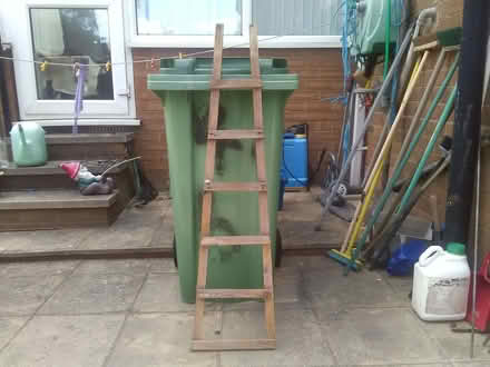 Photo of free garden trellising (Gledhow LS8) #1