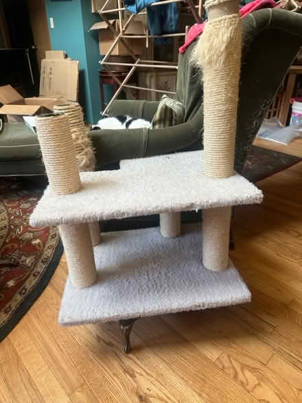 Photo of free Cat platform scratching post (NE Seattle) #2