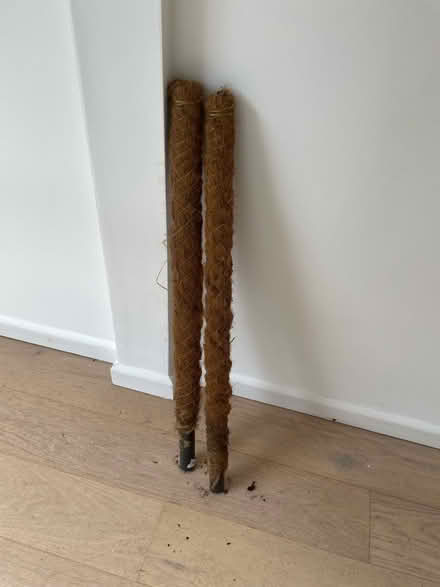 Photo of free Moss poles (Wollaton NG9) #1