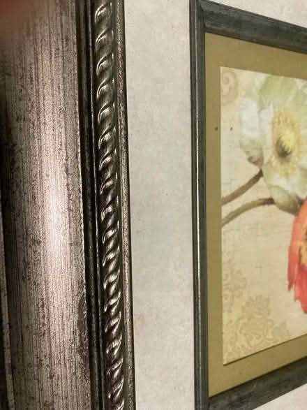 Photo of free Flower print “13x13” inches (Scaggsville) #2