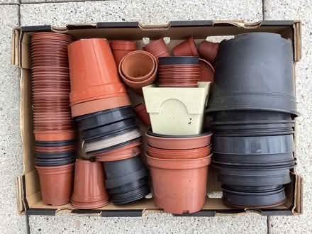 Photo of free Plastic Plant Pots (Oxenholme LA9) #1
