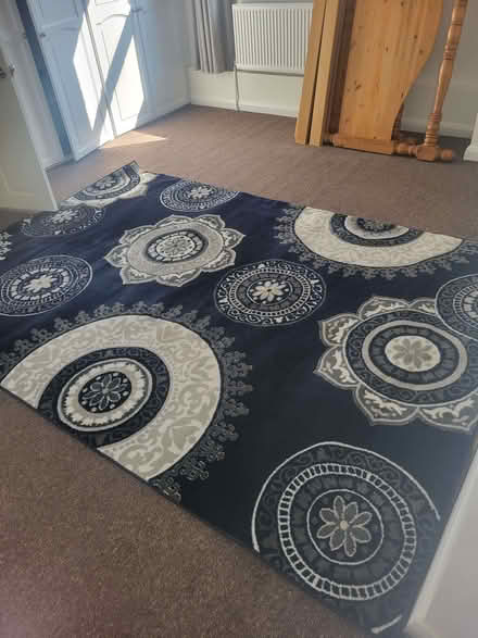 Photo of free Blue rug 2m by 3m (Kew TW9) #1