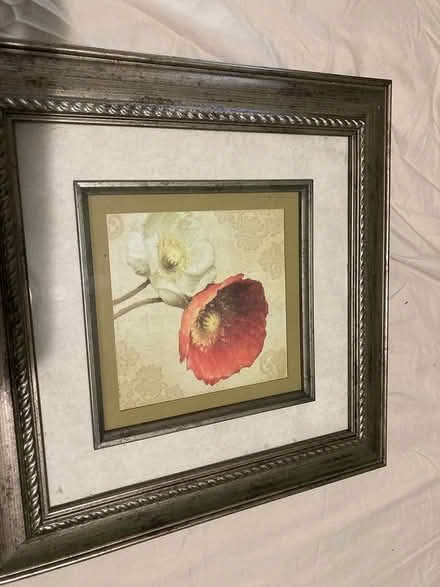 Photo of free Flower print “13x13” inches (Scaggsville) #1