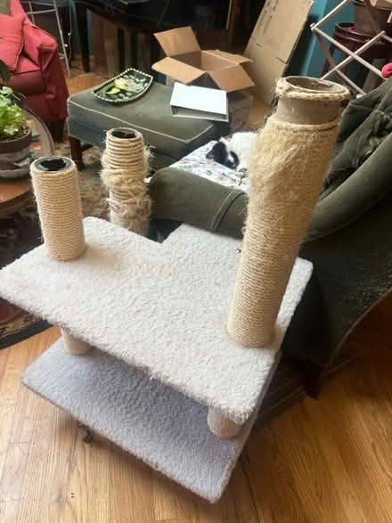 Photo of free Cat platform scratching post (NE Seattle) #1