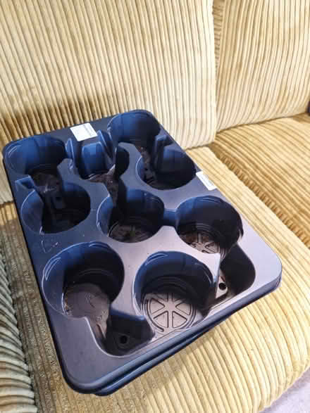 Photo of free Plant trays (ME7) #2