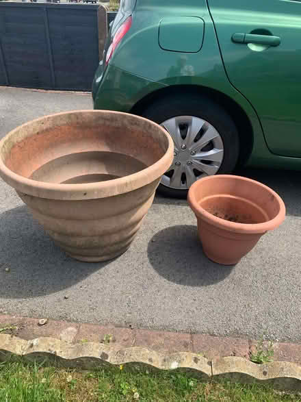 Photo of free plant pots (Westgate LA3) #2