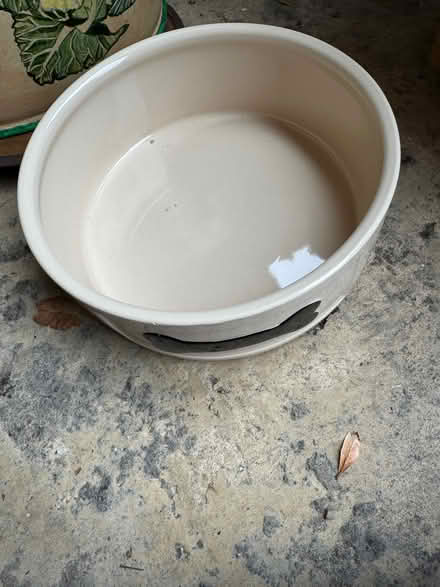 Photo of free Cooking/baking dishes & dog bowl (Beaconsfield HP9) #2