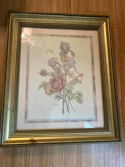 Photo of free Botanical print “20x24”inches (Scaggsville) #2