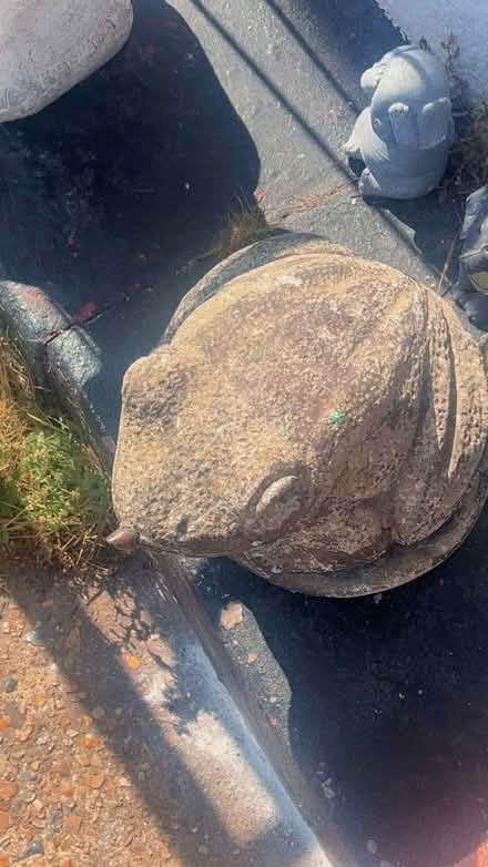 Photo of free Frog ordament (Croydon) #1