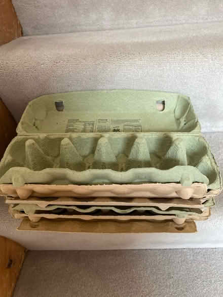 Photo of free Egg boxes (Crawley RH11) #1