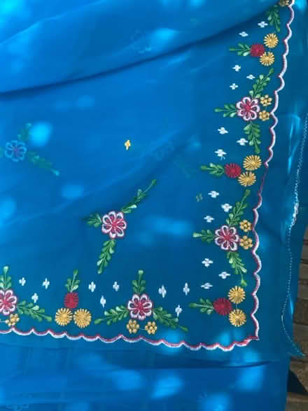 Photo of free Sari/fabric length. (Bloomfield) #1