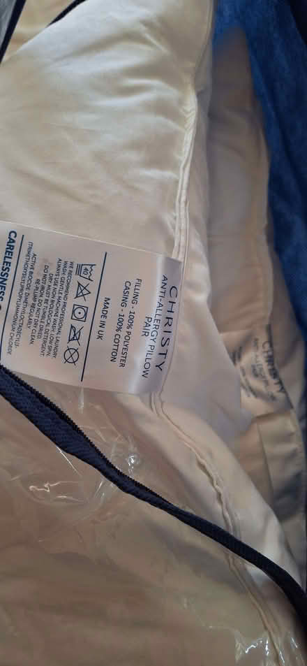 Photo of free Two pillows (Lower Broadheath WR2) #2
