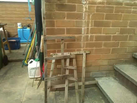 Photo of free trellising (Gledhow LS8) #2