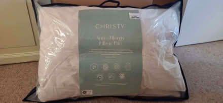 Photo of free Two pillows (Lower Broadheath WR2) #1