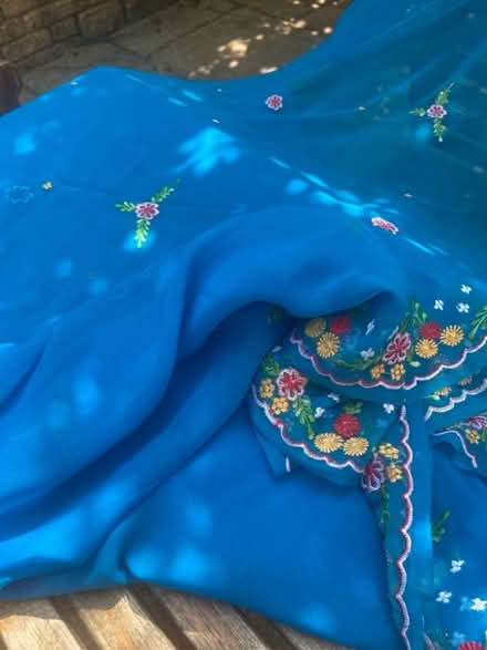 Photo of free Sari/fabric length. (Bloomfield) #3