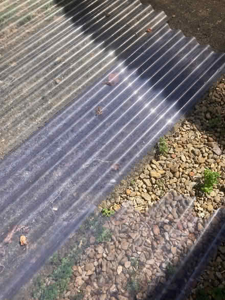 Photo of free Corrugated plastic (Steventon OX13) #2