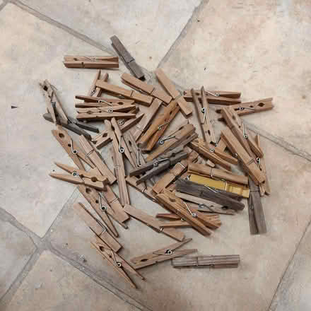 Photo of free Wooden pegs (Woodside London SE25) #1