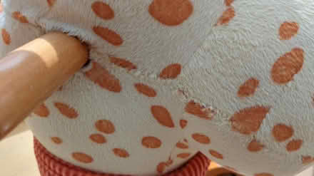 Photo of free Soft ride on giraffe (Shillington) #2