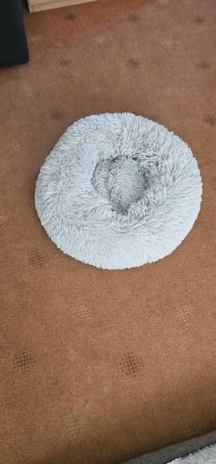 Photo of free cat bed LUTON LU2 (Luton) #1