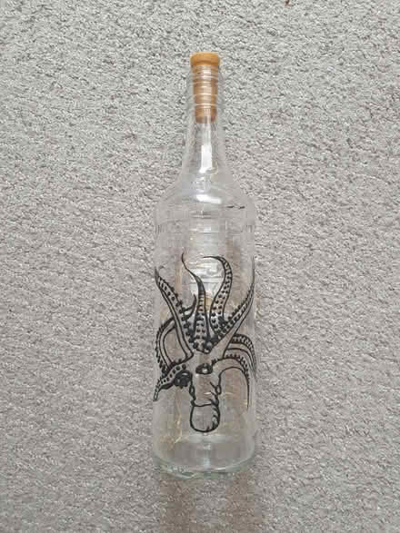 Photo of free Bottle with lights (Tilehurst RG30) #2