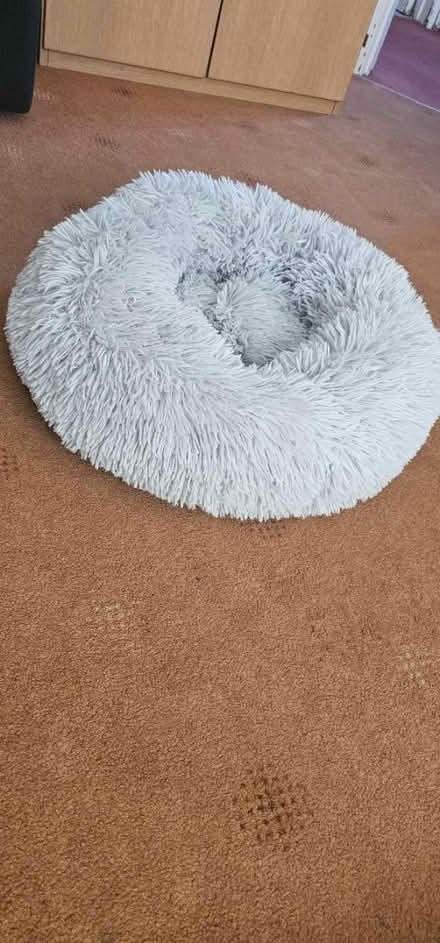 Photo of free cat bed LUTON LU2 (Luton) #2