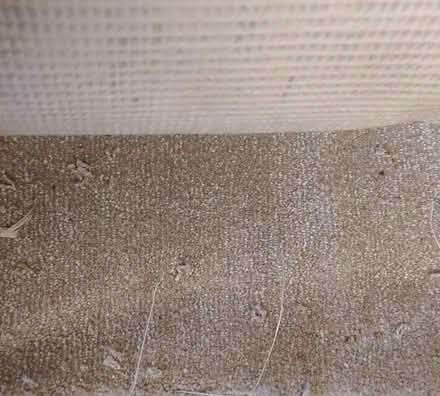 Photo of free Synthetic carpet offcut (RH19 East Grinstead) #1