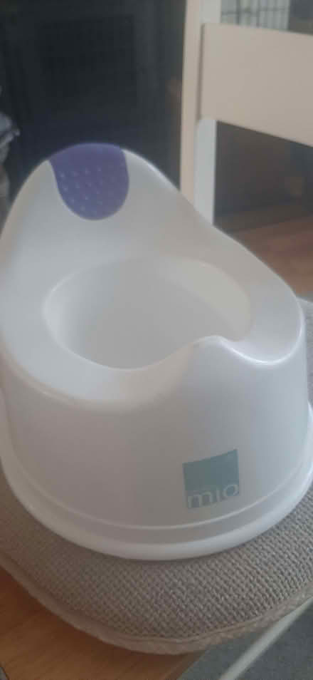 Photo of free White potty (Kingsway) #1
