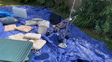 Photo of free Clearance - take what you want (Ripley) #3