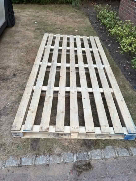 Photo of free Double sized pallet (Weybridge KT13) #1