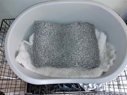 Photo of free Grey dog bed (Stratford) #1