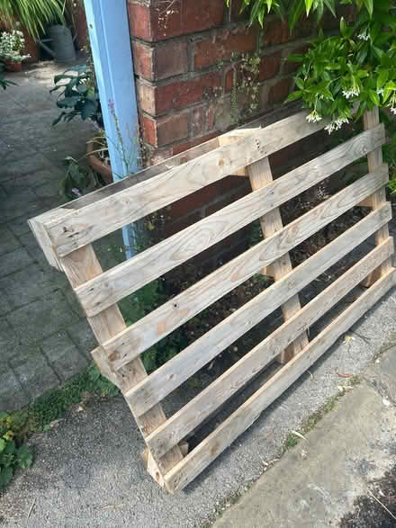 Photo of free Pallet (Harrogate HG2) #1
