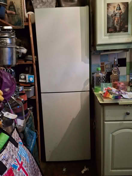 Photo of free Fridge freezer white (Bohemia TN37) #1