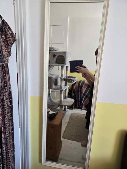 Photo of free Long mirror (Plumstead, SE18) #1