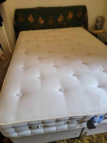 Photo of free Hypnos double matress (Budleigh Salterton EX9) #4