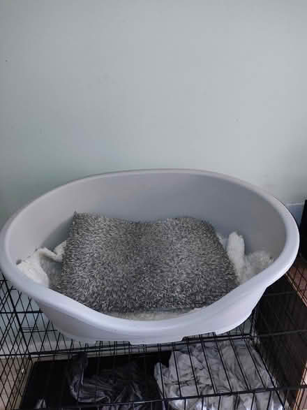 Photo of free Grey dog bed (Stratford) #2