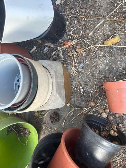 Photo of free Large selection of plant pots (Limehouse E1) #1