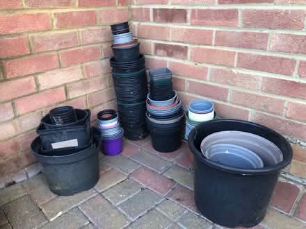Photo of free Plants pots and kids watering can (Whitehill SG4) #2