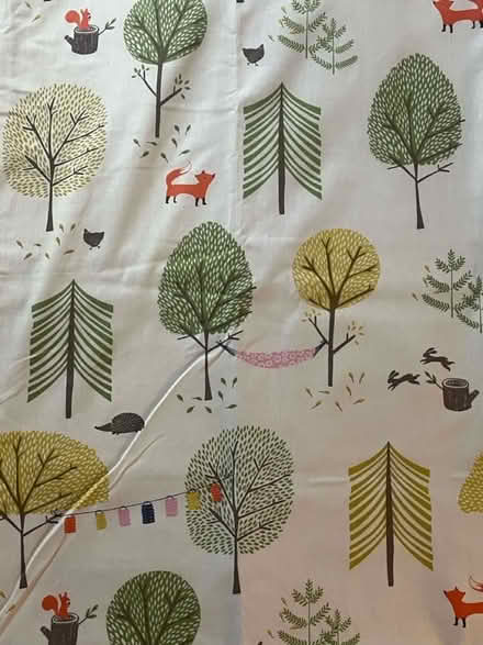 Photo of free John Lewis kids curtains (Brighton BN1) #1