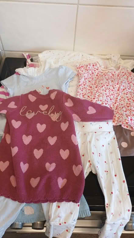 Photo of free Baby girl clothes 3-6 months (Ledbury HR8) #3