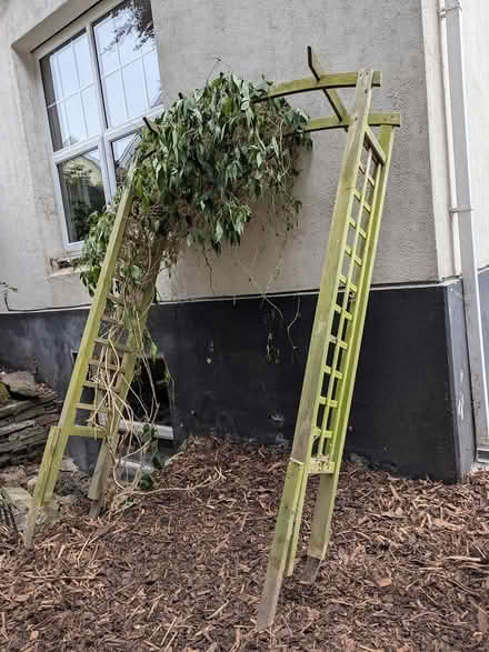 Photo of free Trellis arch (Prenton CH43) #1