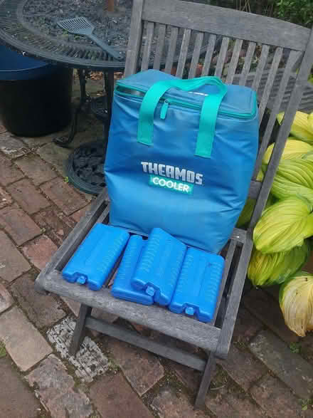 Photo of free Coolbag with 4 ice packs (Wrenbury CW5) #1