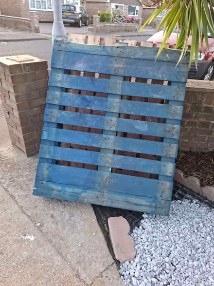 Photo of free 2 strong Pallets (Seaside BN23) #2