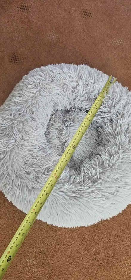 Photo of free cat bed LUTON LU2 (Luton) #3