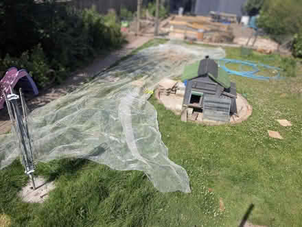 Photo of free Allotment netting and pipe (Heathfield TN21) #1