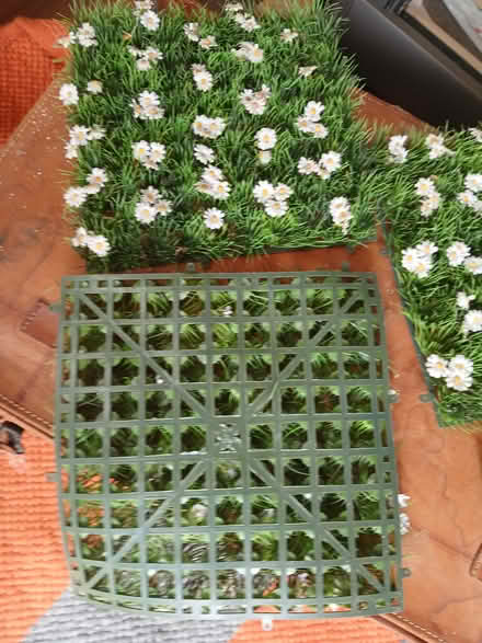 Photo of free 4 Daisy mats (Thornton heath) #3