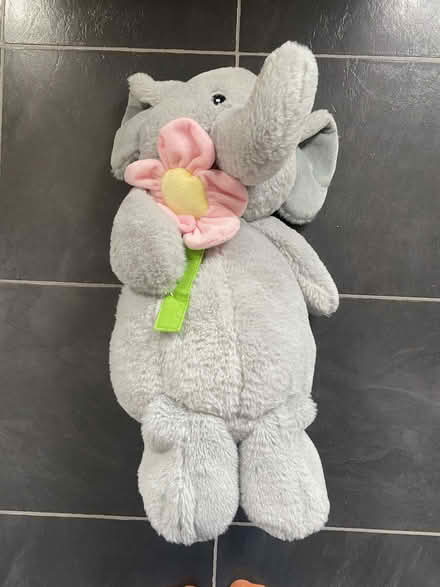 Photo of free cuddly toy elephant (Lochend EH6) #1